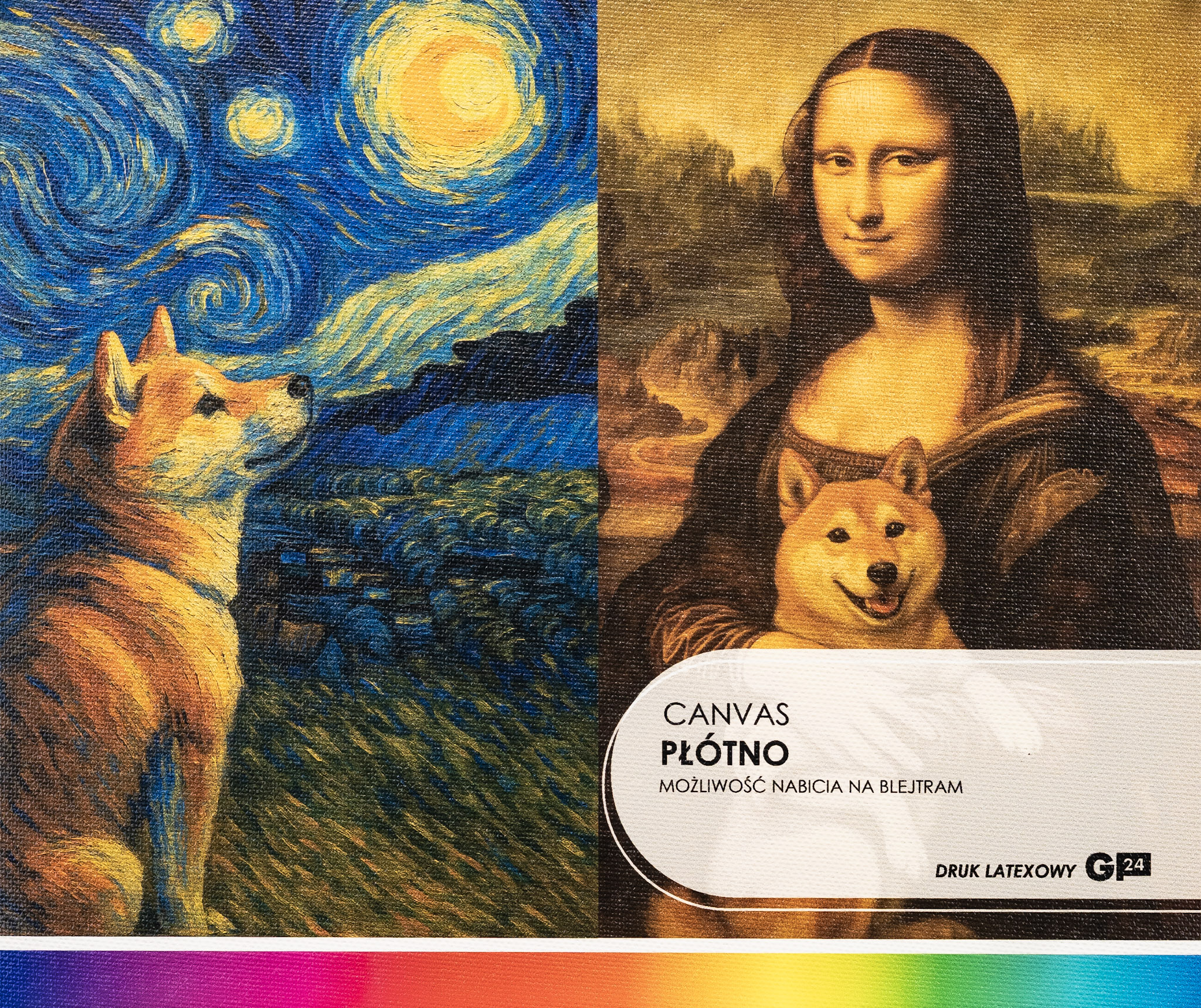 płótno canvas